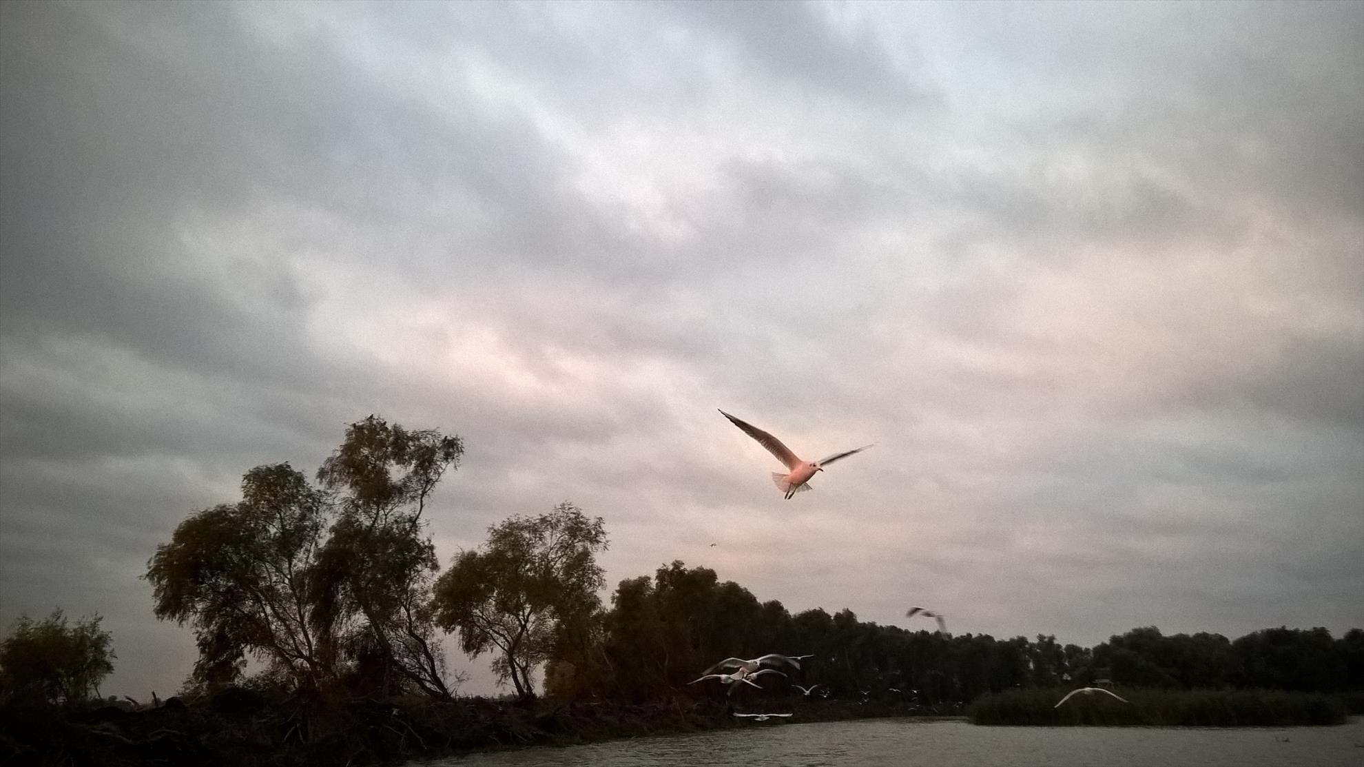 Uzlina 2016 - wp20161025074200pro.jpg